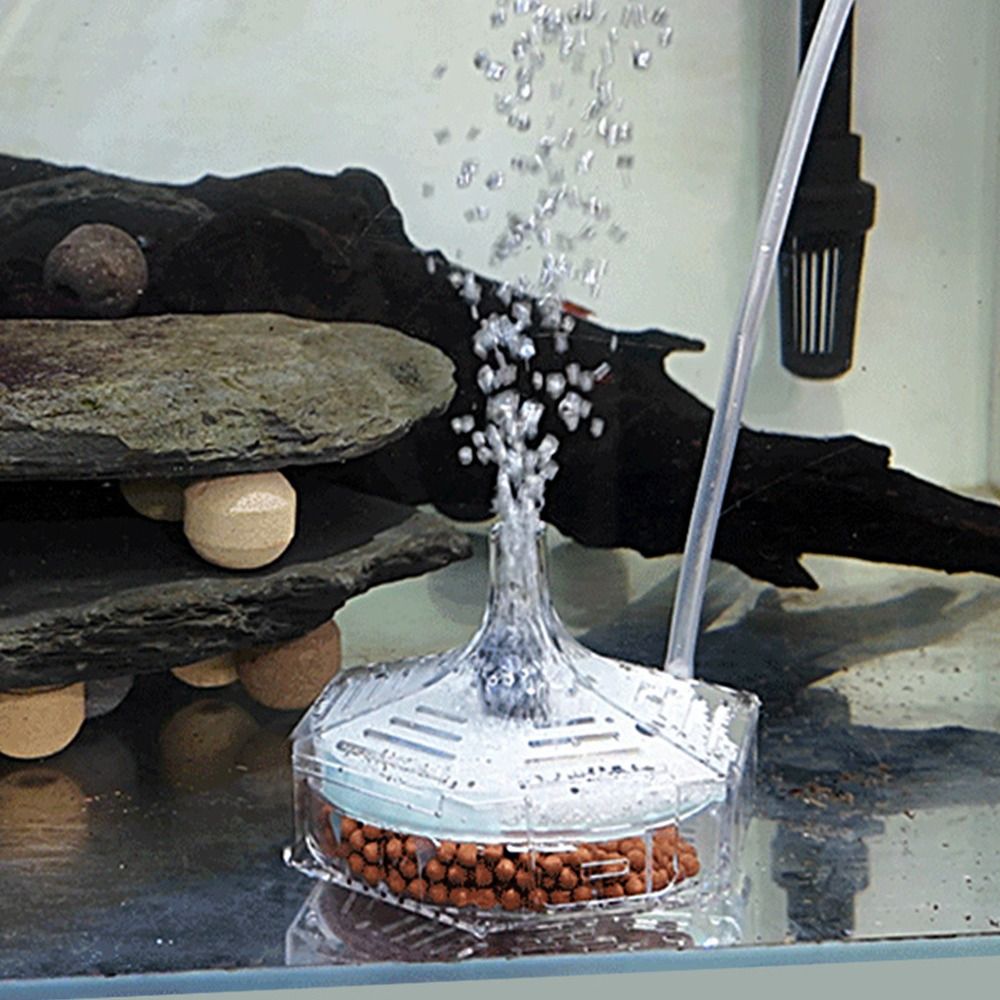 Neuer tragbarer Aquarium-Filte – Aquarium Fish For Beginners Bewertung und Preis