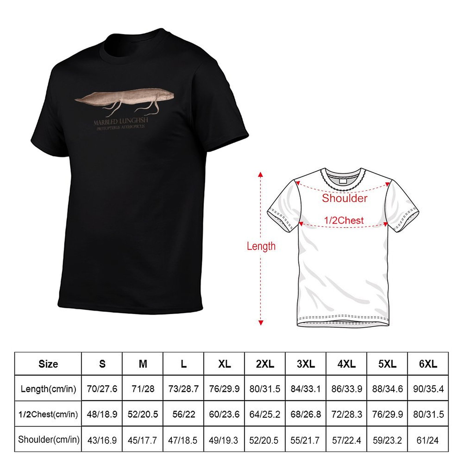 Lungfish Protopterus Aquarium  – Aquarium Fish Monster Bewertung und Preis