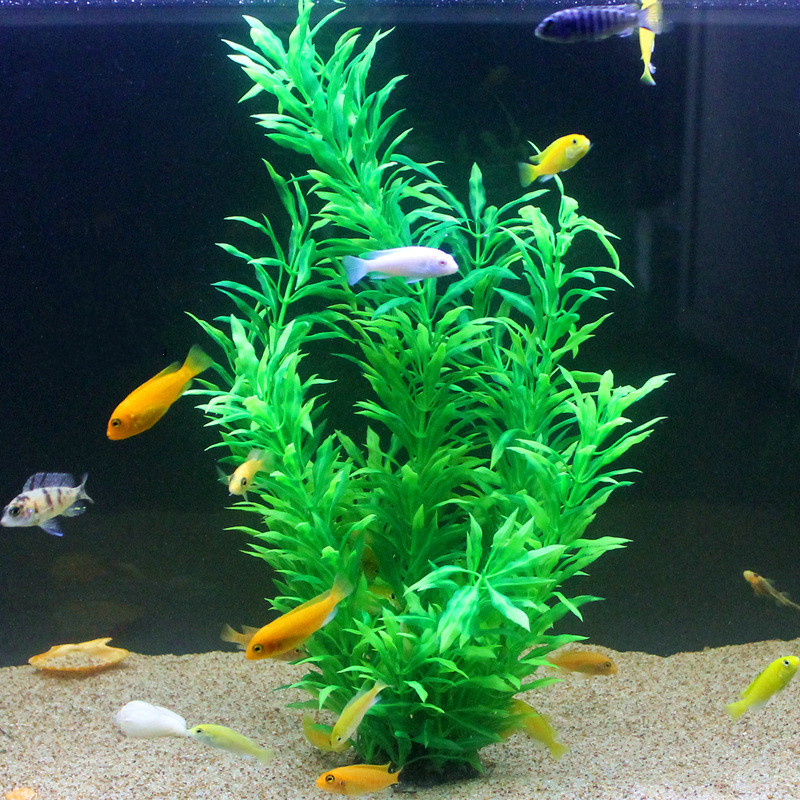 50CM Künstliche Aquarium Selte – Aquarium Fish To Buy Bewertung und Preis