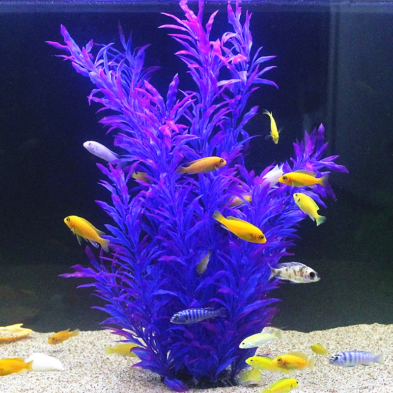 50CM Künstliche Aquarium Selte – Aquarium Fish To Buy Bewertung und Preis