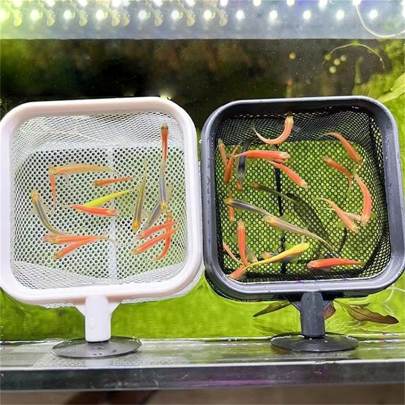 AquariumFish Fischernetz, Edel – Aquarium Fish Net Small Bewertung und Preis