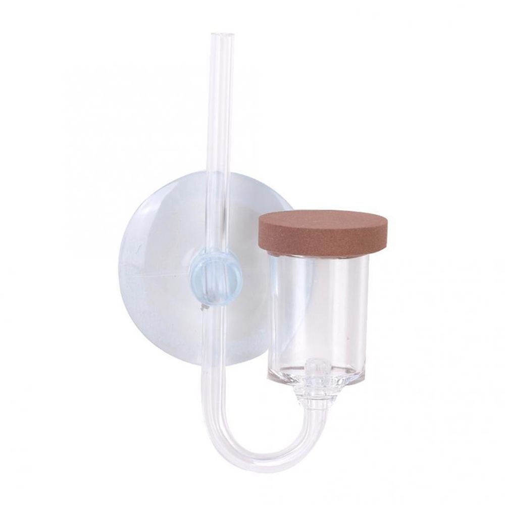Acryl Mini Aquarium Live Pflan – Aquarium Fish To Buy Bewertung und Preis