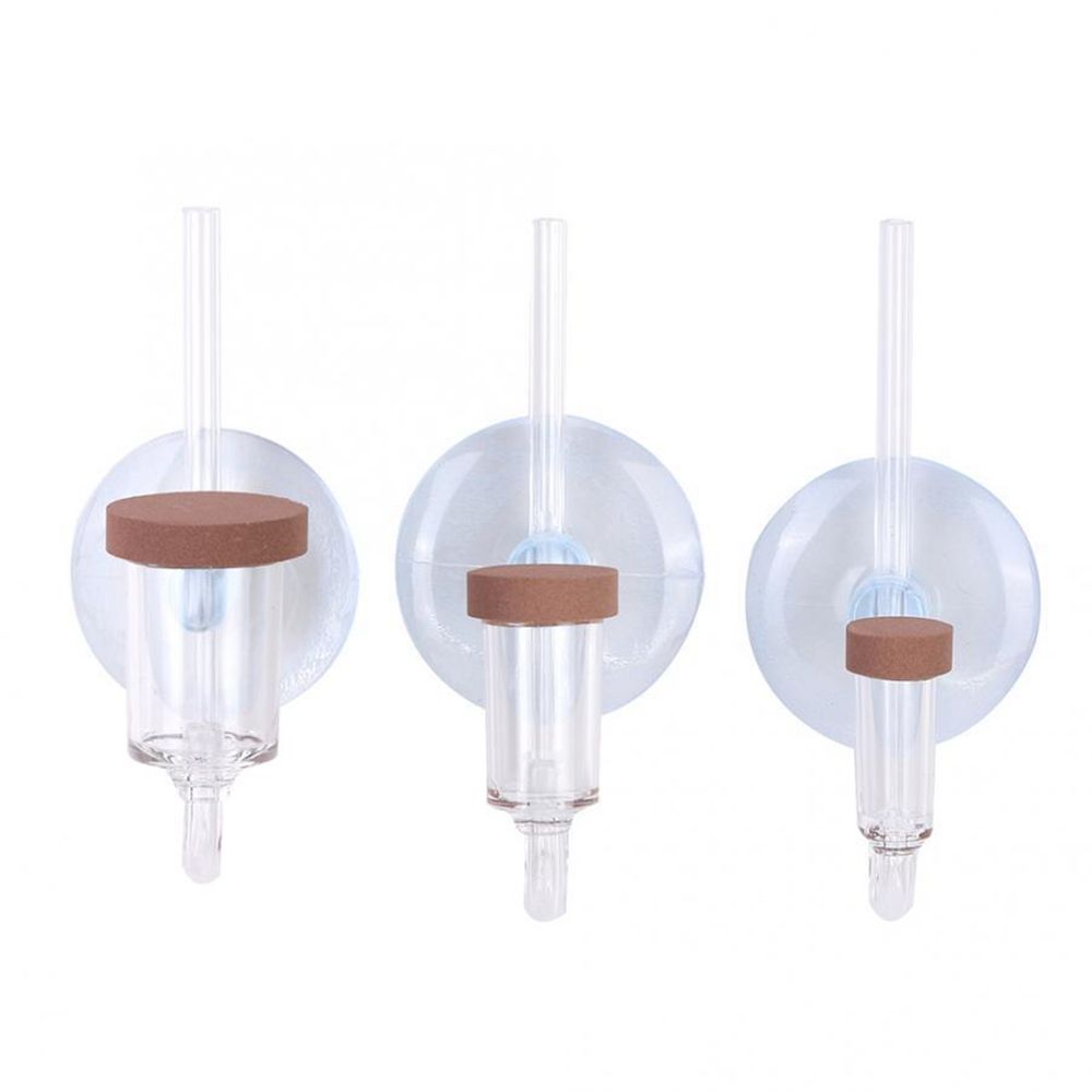 Acryl Mini Aquarium Live Pflan – Aquarium Fish To Buy Bewertung und Preis
