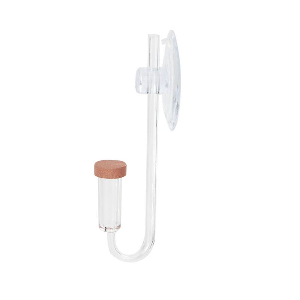 Acryl Mini Aquarium Live Pflan – Aquarium Fish To Buy Bewertung und Preis