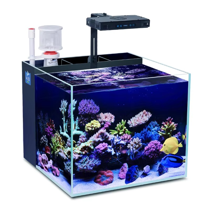 Proteinabschäumer mit LED-Bele – Protein Skimmer Reef Bewertung und Preis