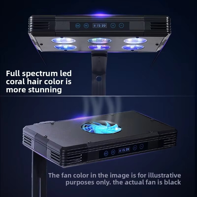 Proteinabschäumer mit LED-Bele – Protein Skimmer Reef Bewertung und Preis