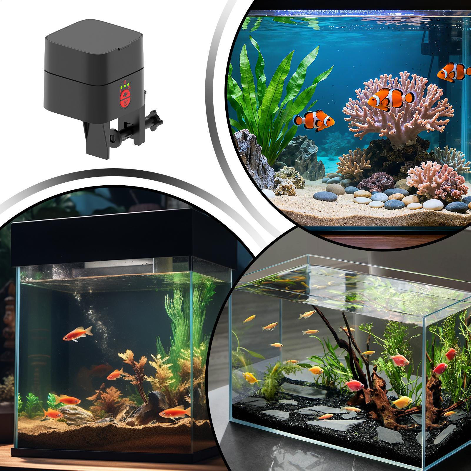 Automatischer Fischfutterspend – Aquarium Fish Feeder Bewertung und Preis