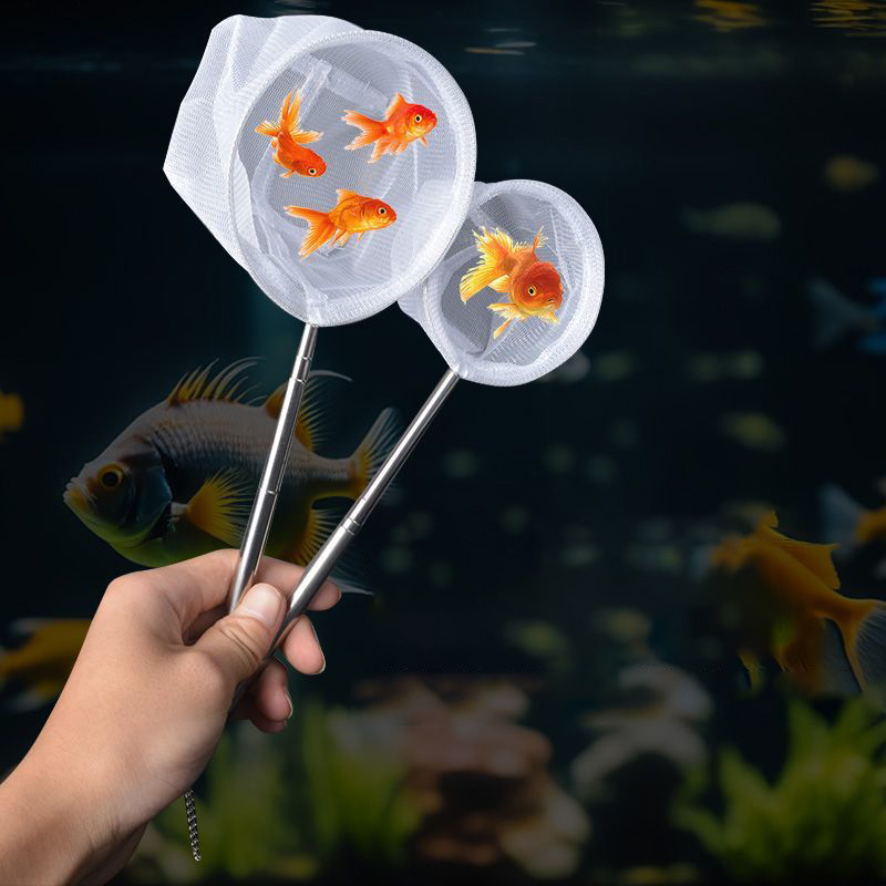 【F】Aquarium-Fischfangnetz aus  – Aquarium Fish Net Small Bewertung und Preis