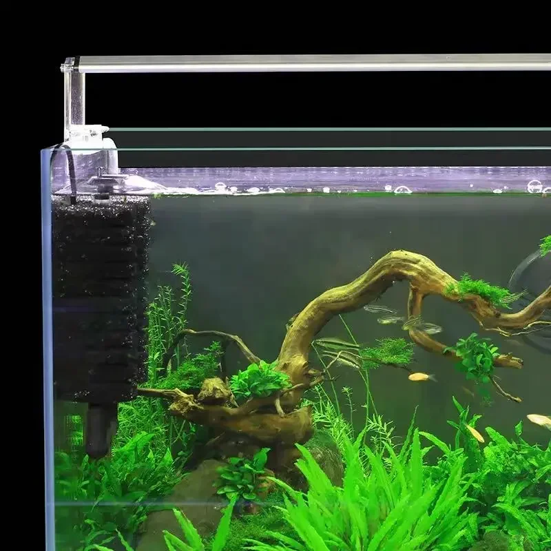 3-IN-1 Clip on Electric Power  – Aquarium Fish Ball Bewertung und Preis