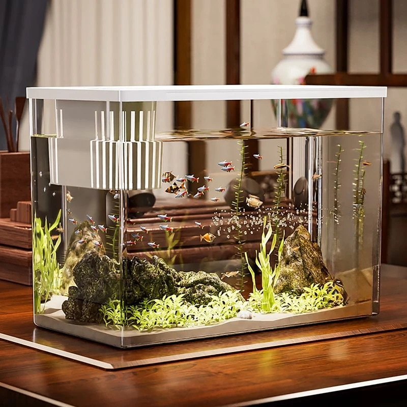 PET + ABS Aquarium Neue Transp – Aquarium Fish For Beginners Bewertung und Preis