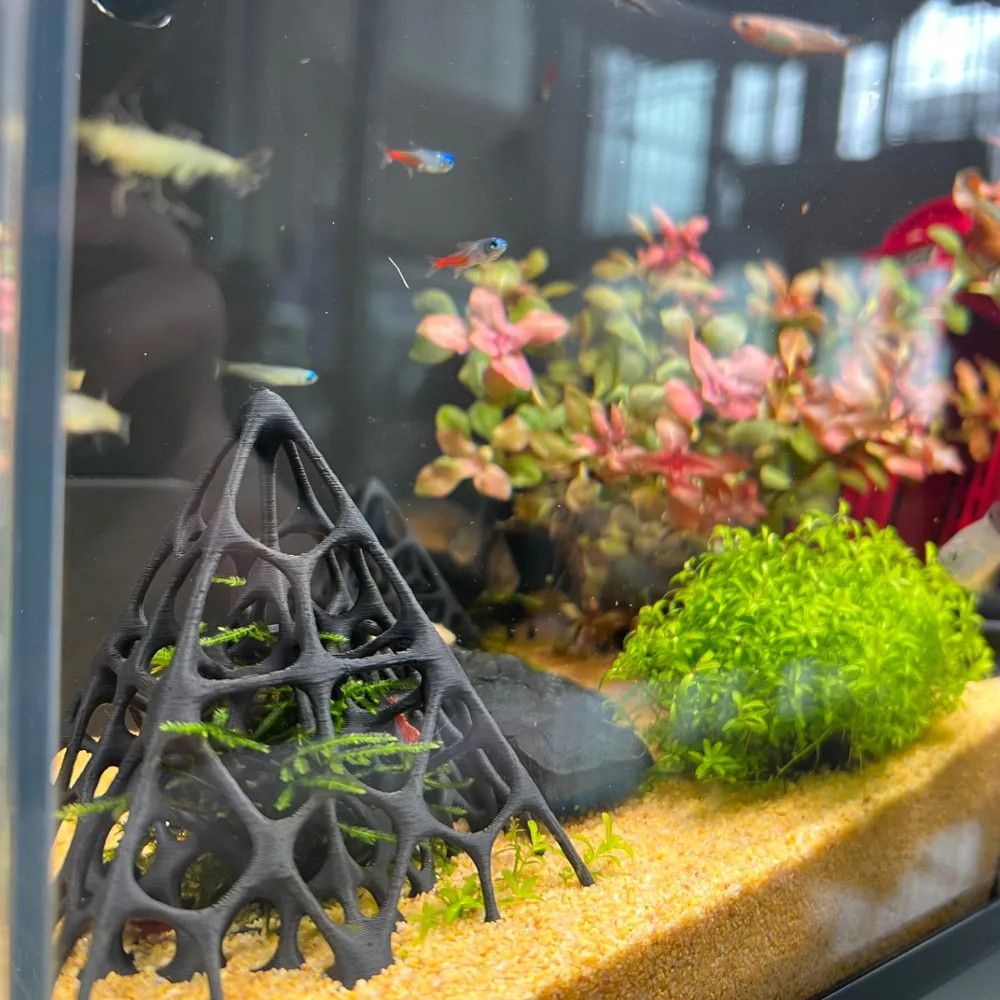 3D-Gedrucktes Pyramiden-Fisch- – Aquarium Fish Hideout Bewertung und Preis