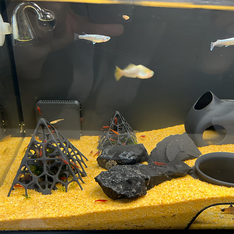 3D-Gedrucktes Pyramiden-Fisch- – Aquarium Fish Hideout Bewertung und Preis