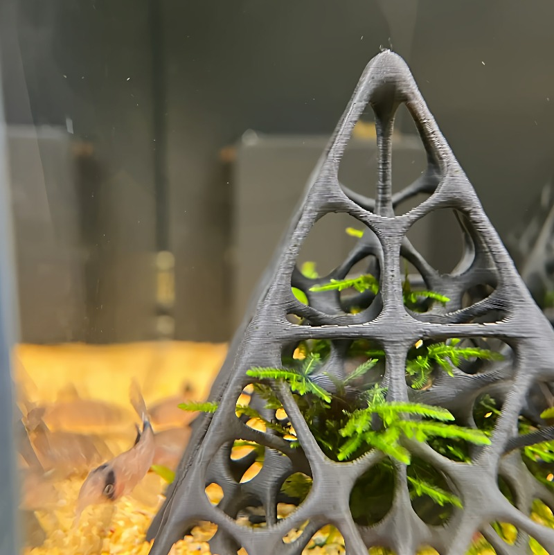 3D-Gedrucktes Pyramiden-Fisch- – Aquarium Fish Hideout Bewertung und Preis