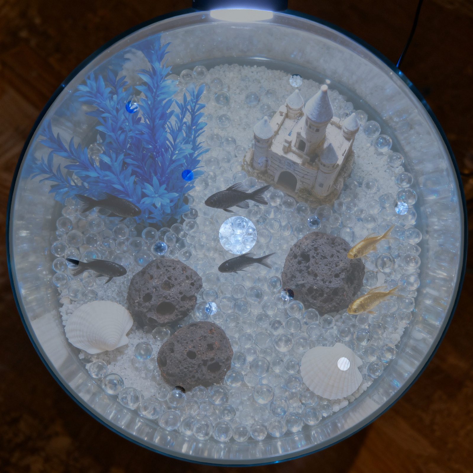 7 Zoll Runde Acryl-Aquariumabd – Aquarium Fish To Buy Bewertung und Preis