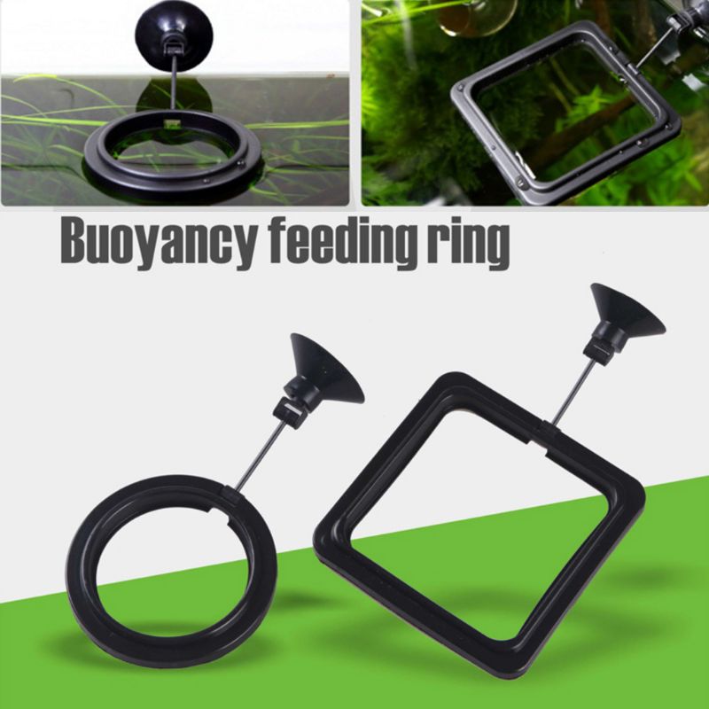 Aquarium Fischfütterungsring F – Aquarium Fish Feeder Bewertung und Preis