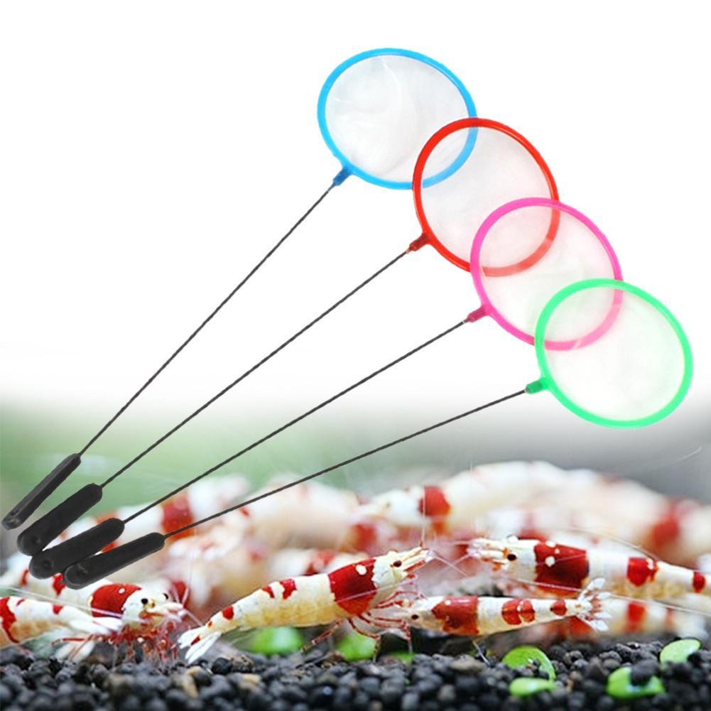 1/5/10 Stück bunte Aquarien-Fi – Aquarium Fish Net Small Bewertung und Preis