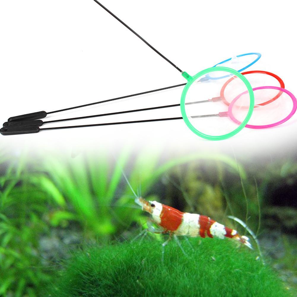 1/5/10 Stück bunte Aquarien-Fi – Aquarium Fish Net Small Bewertung und Preis